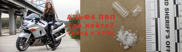 СК Кодинск