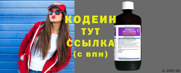 СК Кодинск
