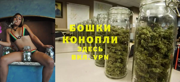 стафф Козельск