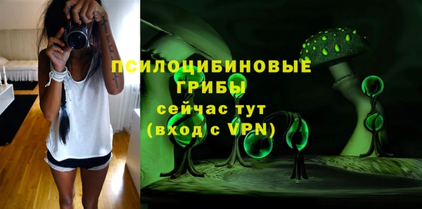 прущая мука Козловка